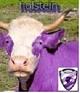 holstein